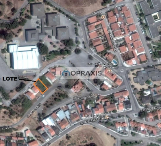 Terreno para Venda em Chamusca e Pinheiro Grande Foto 6