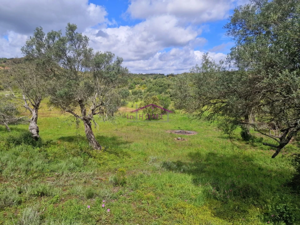 Terreno para Venda em Querença, Tôr e Benafim Foto 2