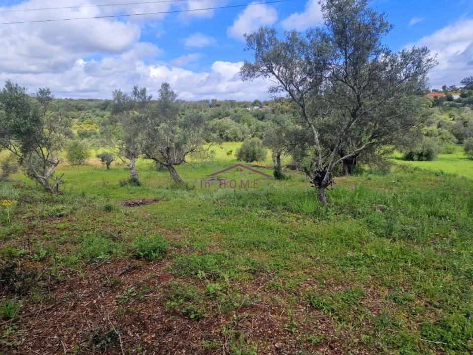 Terreno para Venda em Querença, Tôr e Benafim Foto 3