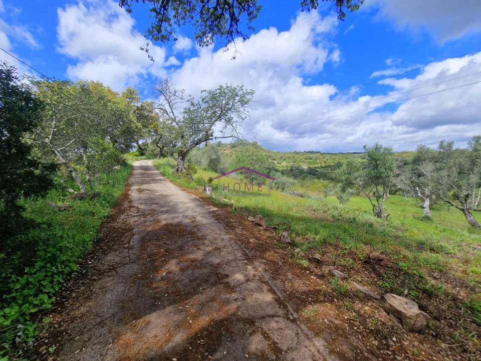 Terreno para Venda em Querença, Tôr e Benafim Foto 6