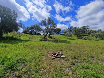 Terreno para Venda em Querença, Tôr e Benafim