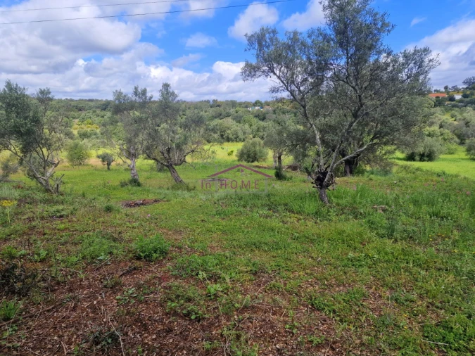 Terreno para Venda em Querença, Tôr e Benafim Foto 3