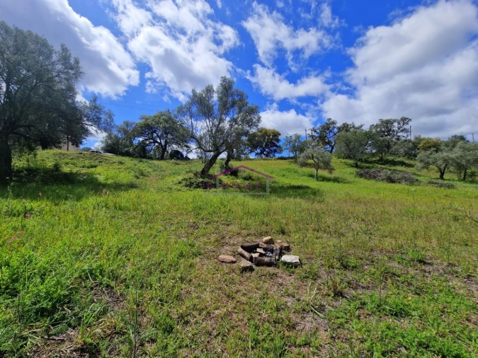 Terreno para Venda em Querença, Tôr e Benafim Foto 4