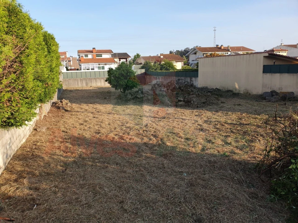 Terreno para Venda em Folgosa Foto 1