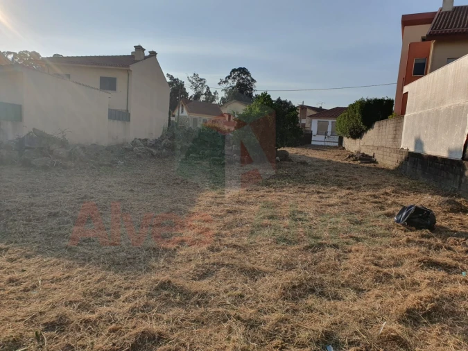 Terreno para Venda em Folgosa Foto 2