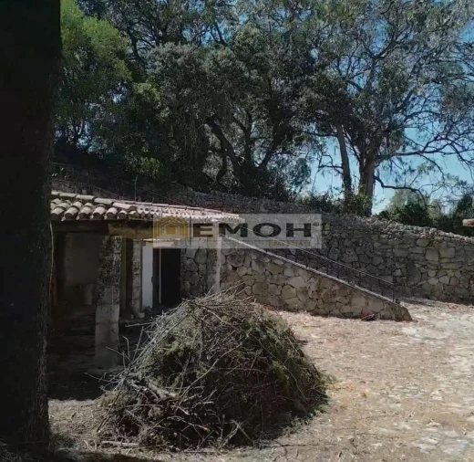 Quinta T10 para Venda em Palmela Foto 9