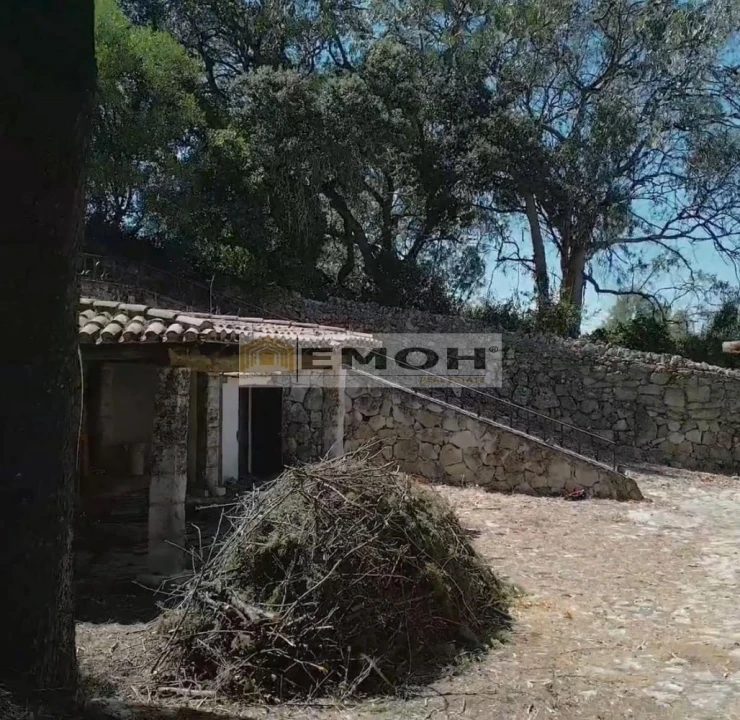 Quinta T10 para Venda em Palmela Foto 9