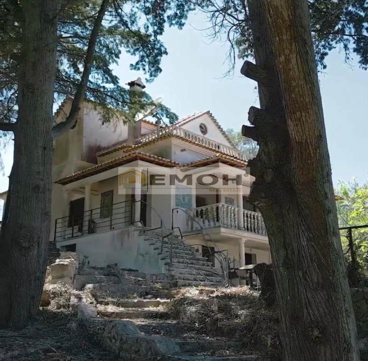 Quinta T10 para Venda em Palmela Foto 11