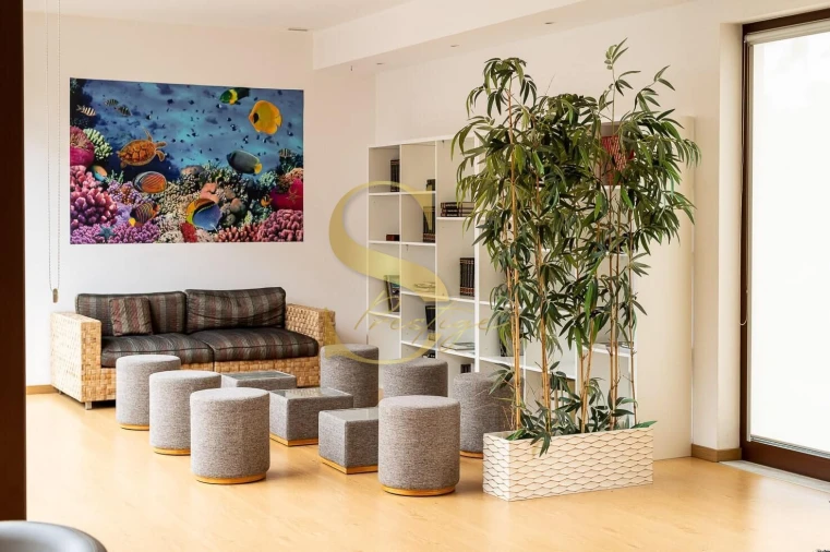 Quinta T10 para Venda em Monte Redondo e Carreira Foto 13