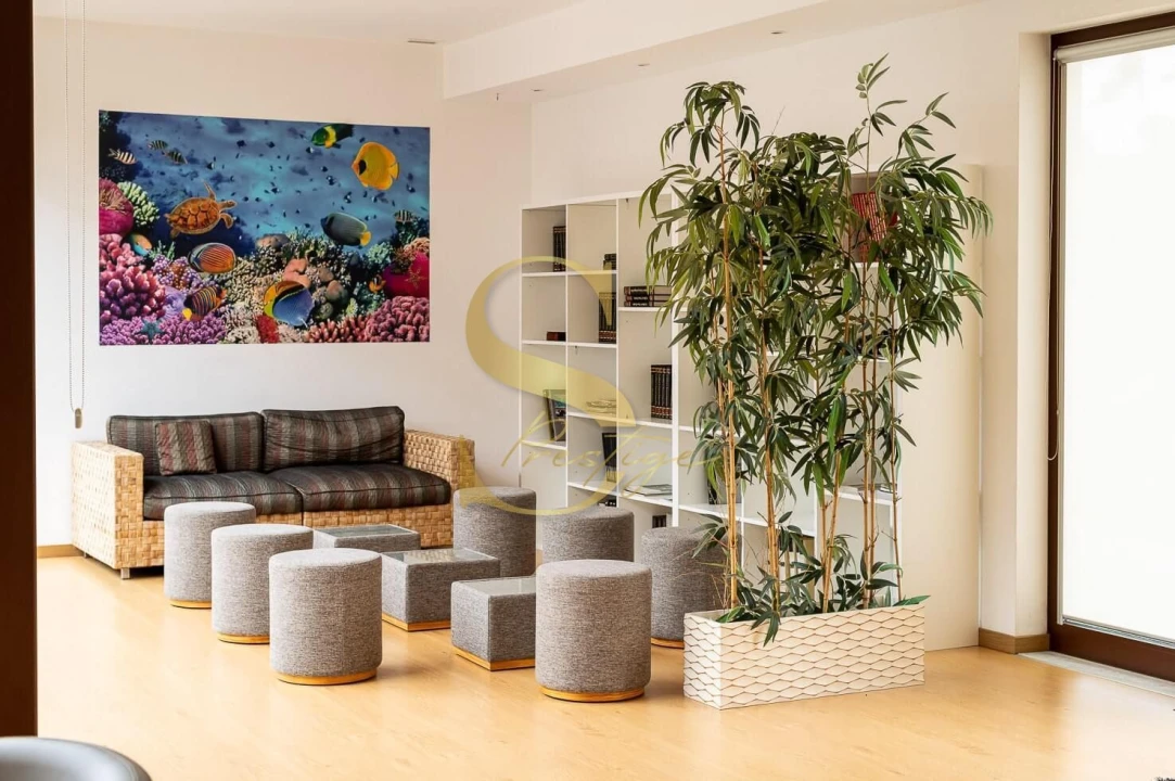 Quinta T10 para Venda em Monte Redondo e Carreira Foto 13