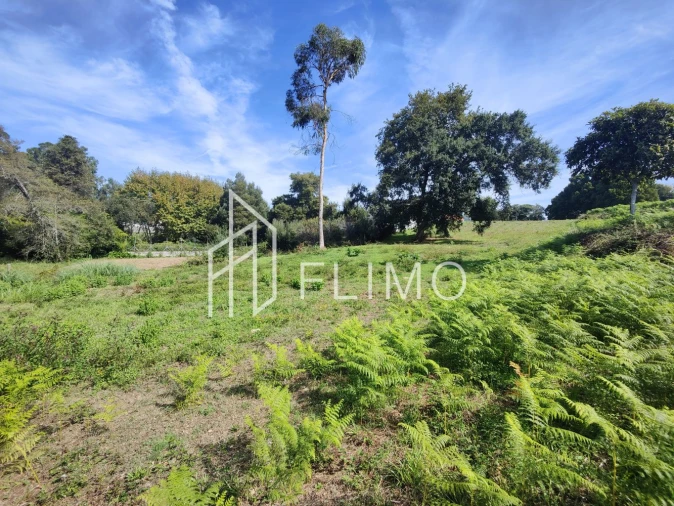 Terreno para Venda em Paços de Brandão Foto 10