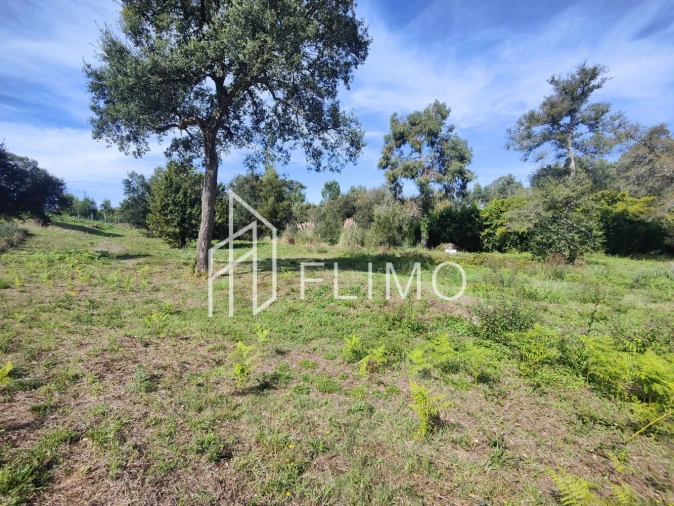 Terreno para Venda em Paços de Brandão Foto 9
