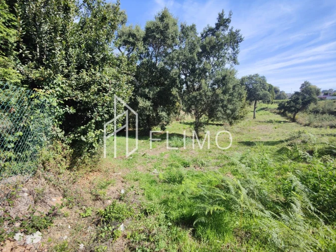 Terreno para Venda em Paços de Brandão Foto 14