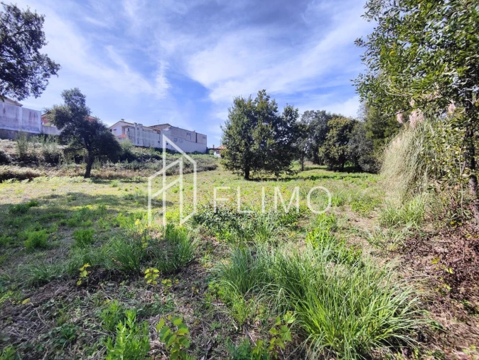 Terreno para Venda em Paços de Brandão Foto 16