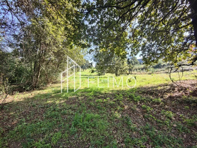 Terreno para Venda em Paços de Brandão Foto 15