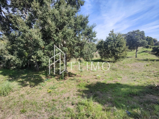 Terreno para Venda em Paços de Brandão Foto 13
