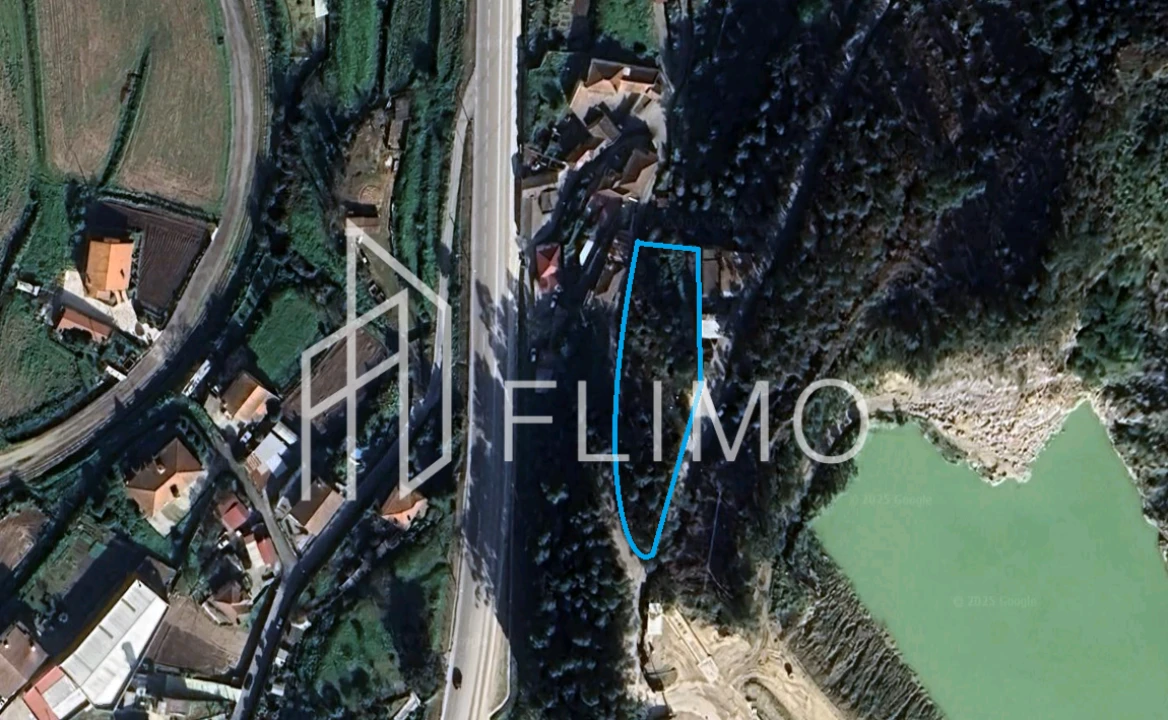 Terreno para Venda em Pinheiro da Bemposta, Travanca e Palmaz Foto 18