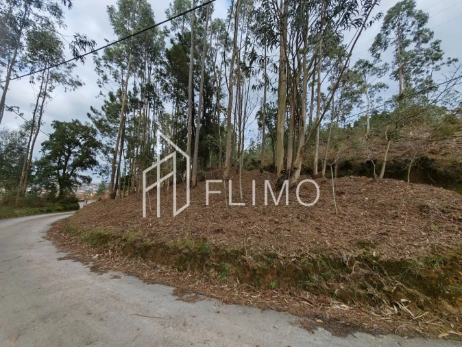 Terreno para Venda em Pinheiro da Bemposta, Travanca e Palmaz Foto 7