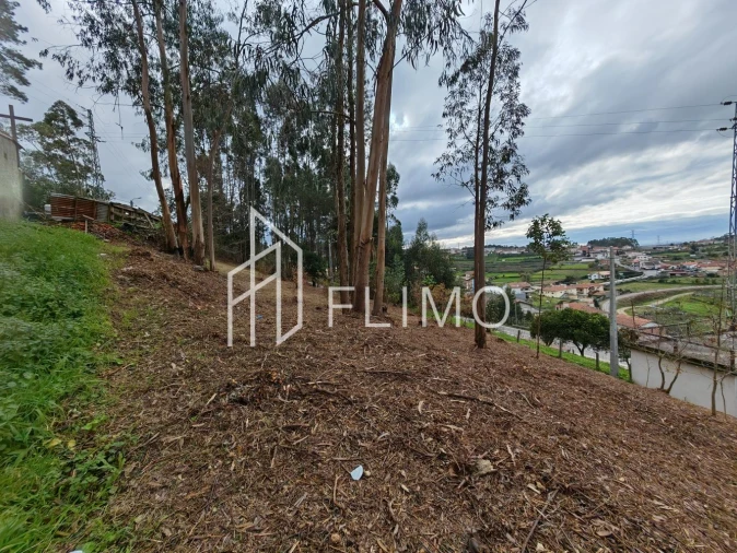 Terreno para Venda em Pinheiro da Bemposta, Travanca e Palmaz Foto 13