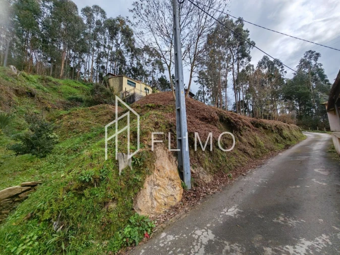 Terreno para Venda em Pinheiro da Bemposta, Travanca e Palmaz Foto 9