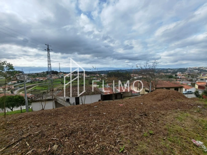Terreno para Venda em Pinheiro da Bemposta, Travanca e Palmaz Foto 14