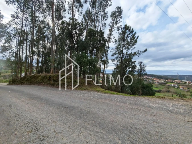 Terreno para Venda em Pinheiro da Bemposta, Travanca e Palmaz Foto 5