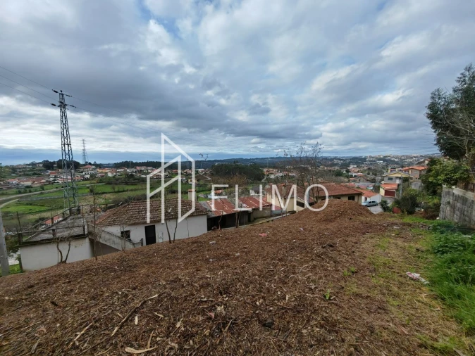 Terreno para Venda em Pinheiro da Bemposta, Travanca e Palmaz Foto 15