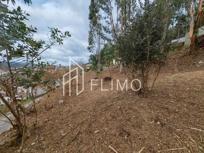 Terreno para Venda em Pinheiro da Bemposta, Travanca e Palmaz Foto 10