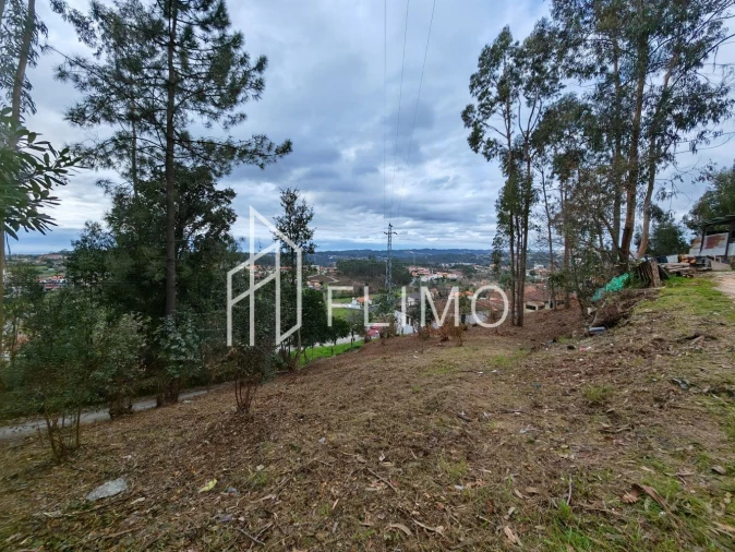 Terreno para Venda em Pinheiro da Bemposta, Travanca e Palmaz Foto 16
