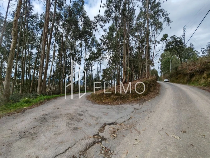 Terreno para Venda em Pinheiro da Bemposta, Travanca e Palmaz Foto 6
