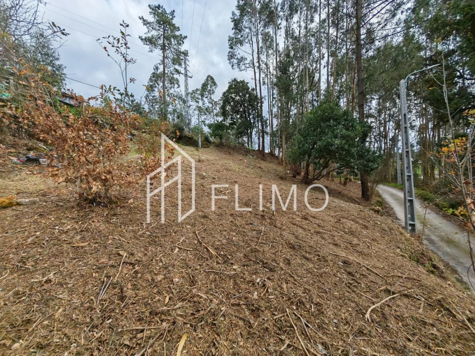 Terreno para Venda em Pinheiro da Bemposta, Travanca e Palmaz Foto 11