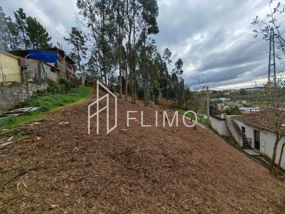 Terreno para Venda em Pinheiro da Bemposta, Travanca e Palmaz Foto 12