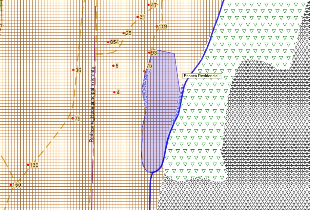 Terreno para Venda em Pinheiro da Bemposta, Travanca e Palmaz Foto 19