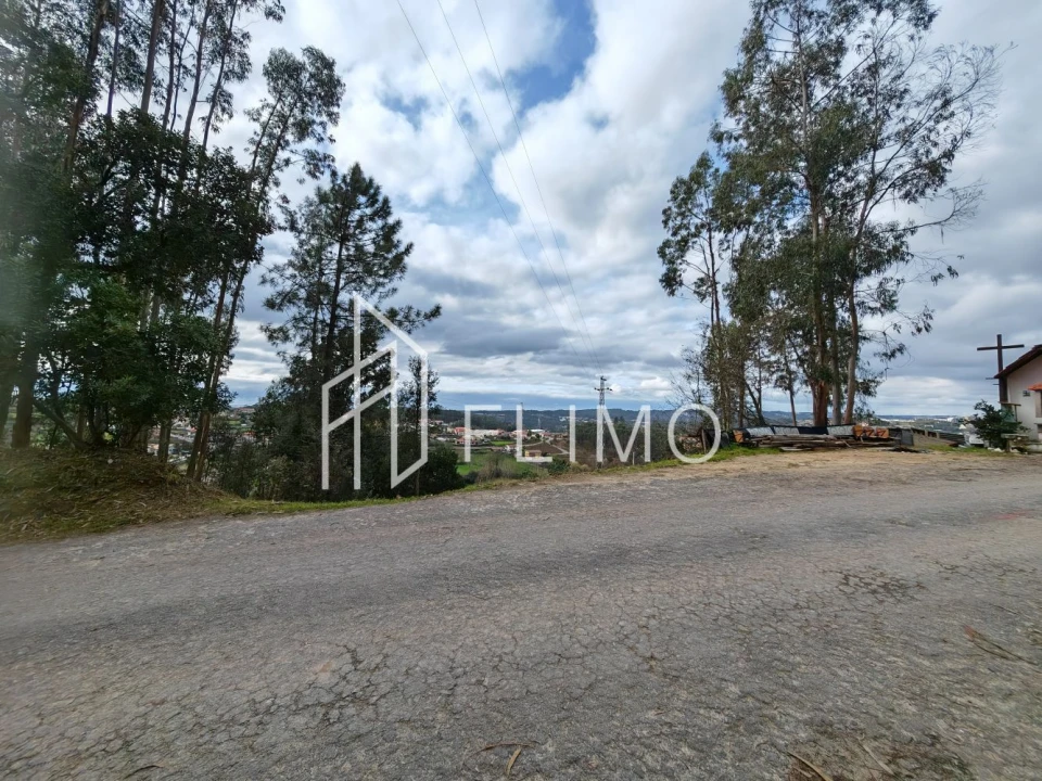 Terreno para Venda em Pinheiro da Bemposta, Travanca e Palmaz Foto 4