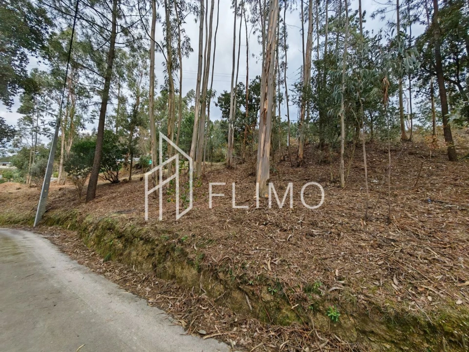 Terreno para Venda em Pinheiro da Bemposta, Travanca e Palmaz Foto 8
