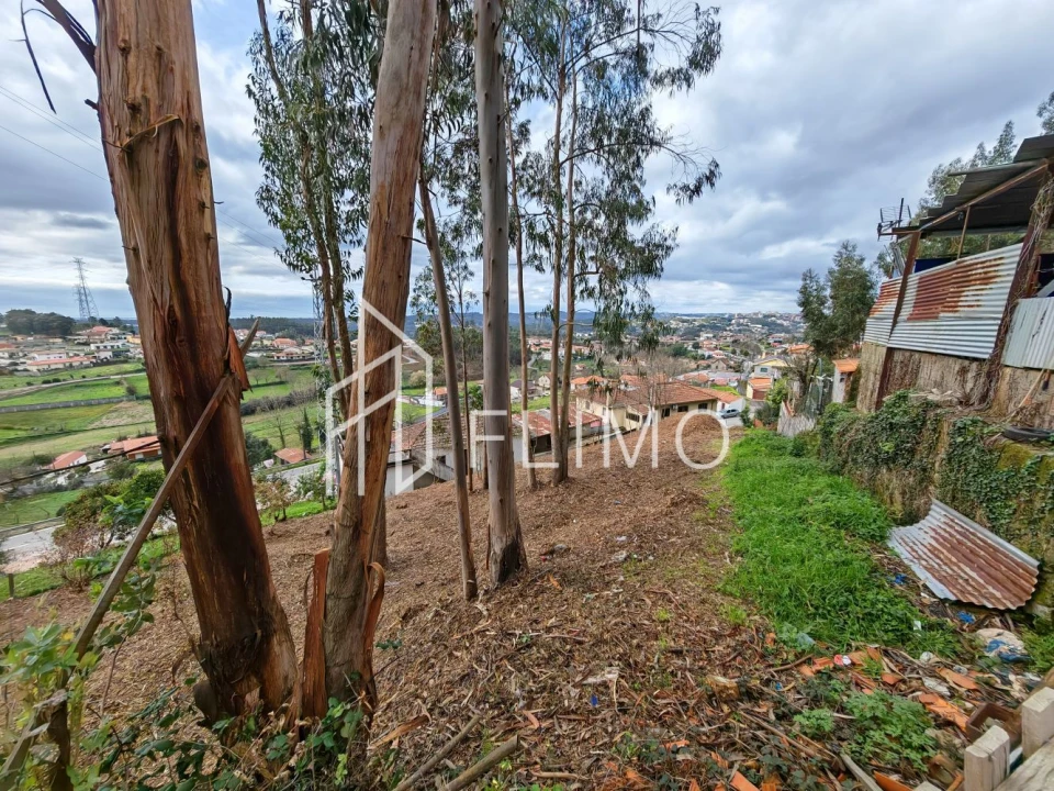 Terreno para Venda em Pinheiro da Bemposta, Travanca e Palmaz Foto 2