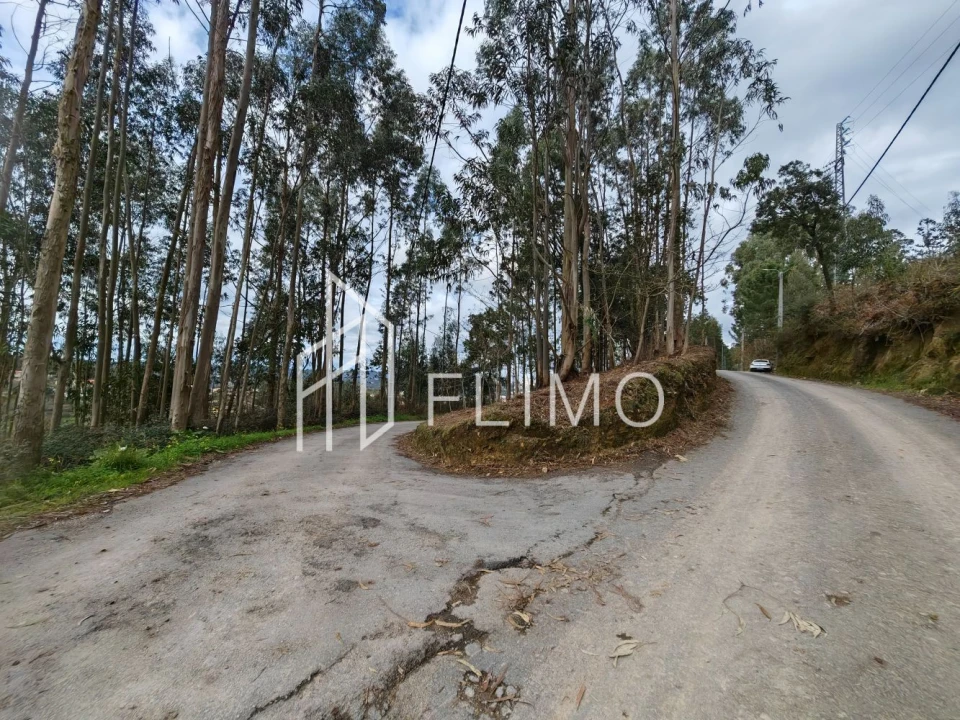Terreno para Venda em Pinheiro da Bemposta, Travanca e Palmaz Foto 6