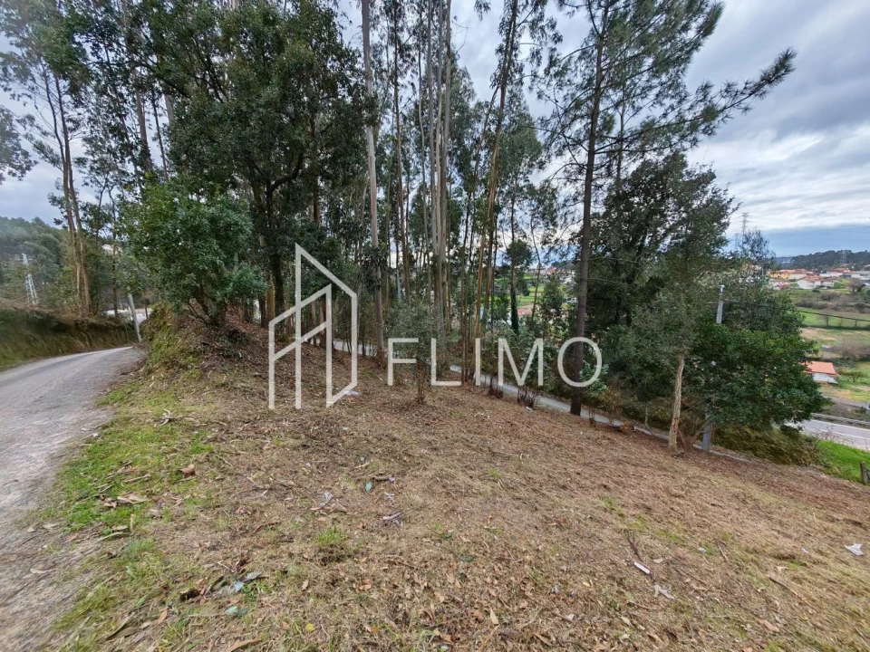 Terreno para Venda em Pinheiro da Bemposta, Travanca e Palmaz Foto 17