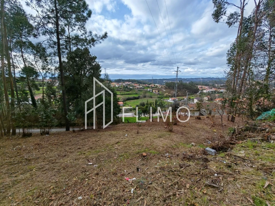 Terreno para Venda em Pinheiro da Bemposta, Travanca e Palmaz Foto 1