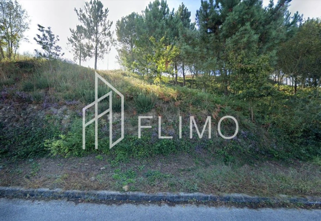 Terreno para Venda em Lobão, Gião, Louredo e Guisande Foto 4
