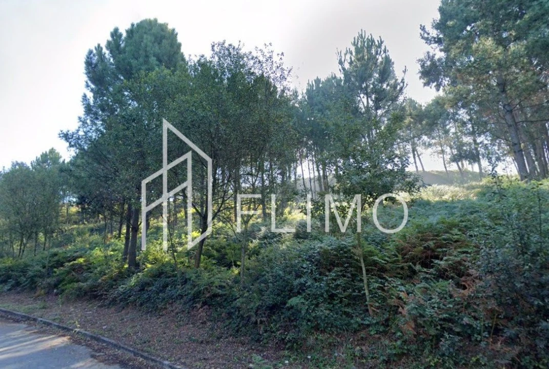 Terreno para Venda em Lobão, Gião, Louredo e Guisande Foto 2