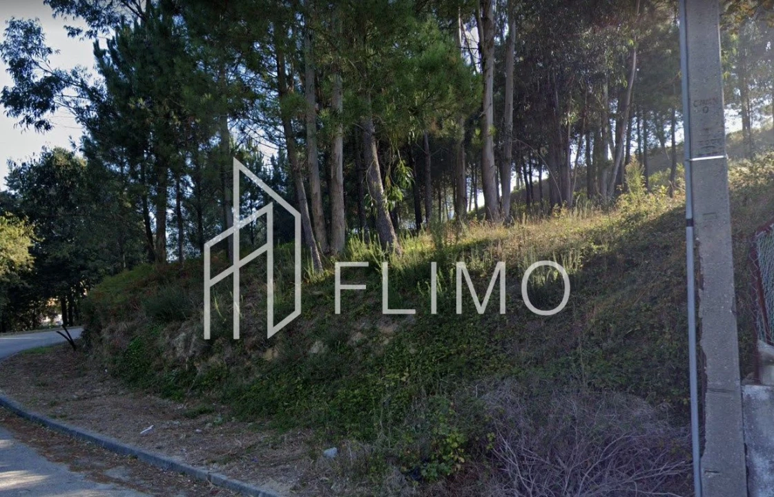 Terreno para Venda em Lobão, Gião, Louredo e Guisande Foto 2