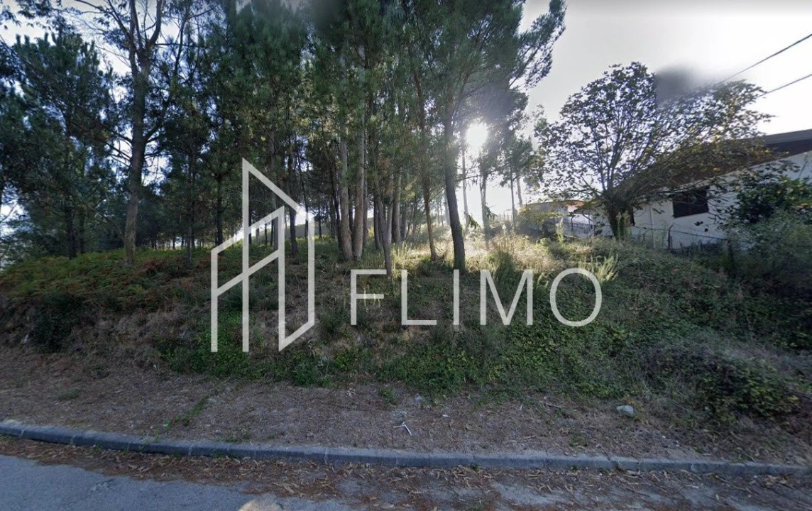 Terreno para Venda em Lobão, Gião, Louredo e Guisande Foto 3