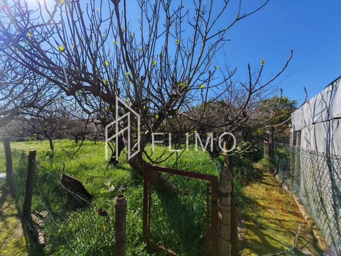 Moradia T2 para Venda em Cortegaça Foto 28