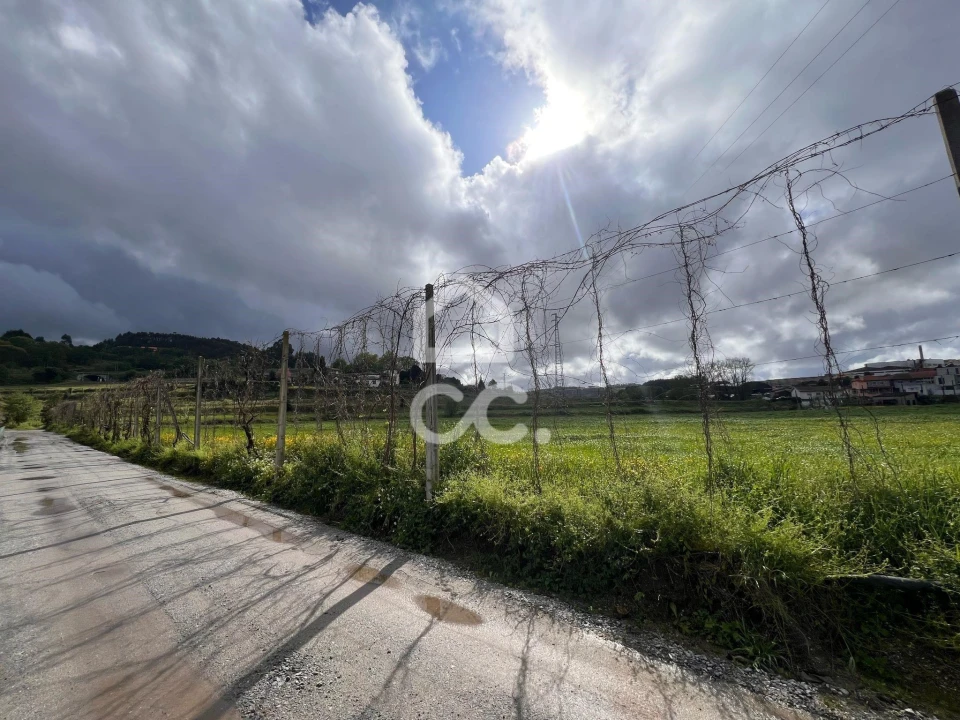 Terreno para Venda em Urgezes Foto 3