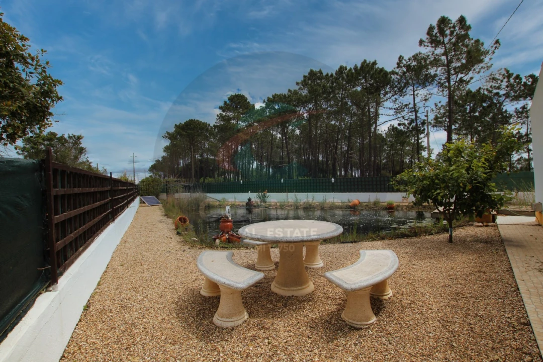 Quinta T3 para Venda em Aljezur Foto 2