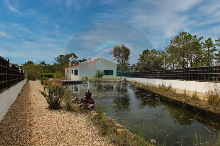 Quinta T3 para Venda em Aljezur Foto 29