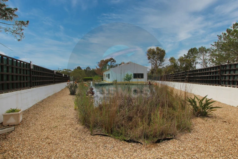 Quinta T3 para Venda em Aljezur Foto 30