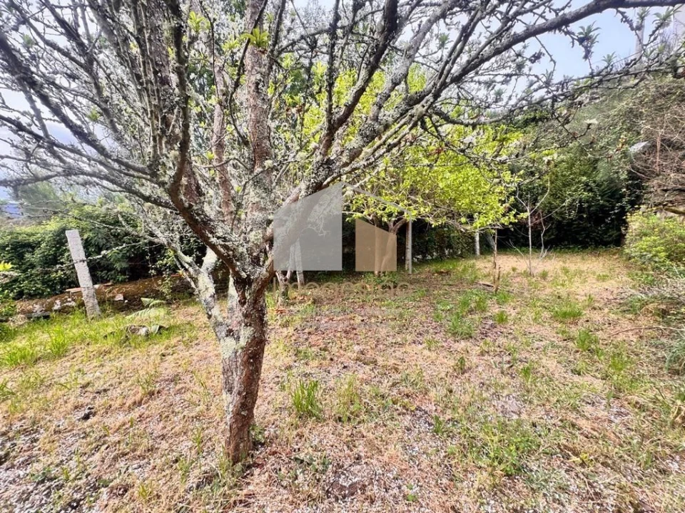 Moradia T4 para Venda em Seixas Foto 13