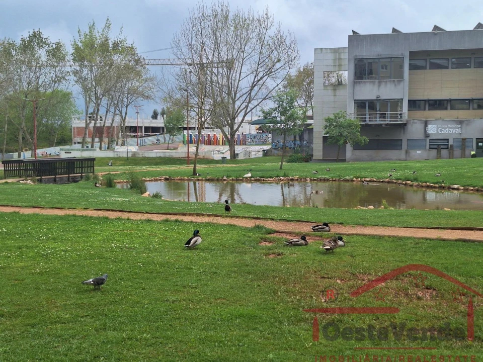 Apartamento T3 para Venda em Cadaval e Pêro Moniz Foto 52